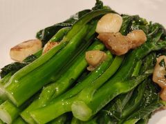 生炒广东菜心-顺鹅季·非遗烧鹅(六道口店)