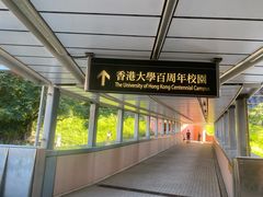 -香港大学
