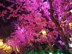 -今朝桃花醉川菜小酒馆(龙湖天街店)