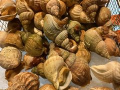 -杭州温德姆至尊豪廷大酒店