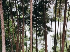 -南诏风情岛
