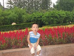 -上海市龙华烈士陵园