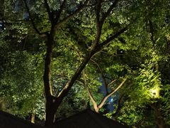 -大妙火锅·非物质文化遗产(东湖公园店)