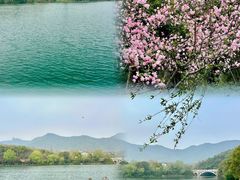 -杭州半山国家森林公园