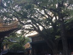 -普陀山风景名胜区-法雨禅寺