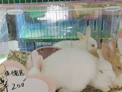 -万达广场(通州店)