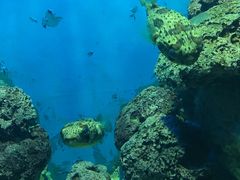 -福州罗源湾海洋世界旅游区