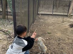 -合肥滨湖国家森林公园