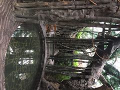 龙达温泉生态城-龙达温泉生态城