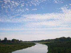 -五里湖湿地公园