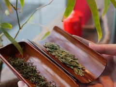 -王德传茶庄(上海新天地店)