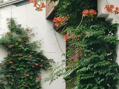 -南京市民俗博物馆(甘熙故居)