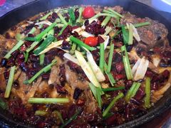 -老板恋上鱼(恒隆广场店)