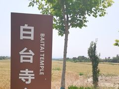 -白台寺