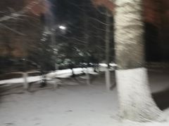 -小湘旺臭鳜鱼(百子湾店)