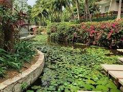 -三亚亚龙湾雅高美爵酒店