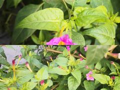 -幕燕滨江·燕子矶公园