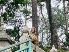 -黔灵山公园