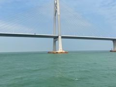 -招商蛇口邮轮母港(观光客运)