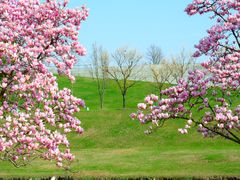 -上海辰山植物园