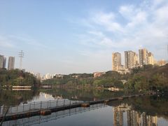 -重庆彩云湖湿地公园