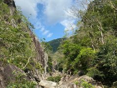 -海南霸王岭国家森林公园