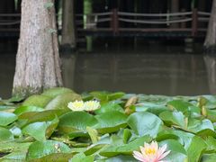 -捞渔河湿地公园