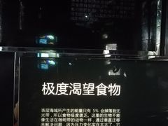 -同济大学四平路校区深海探索馆