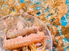 -阿里元海鲜·闽南特色菜(曾厝垵店)