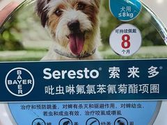 -瑞鹏宠物医院•异宠•宠保定点•流浪定点救助宠物医院(青祁店)