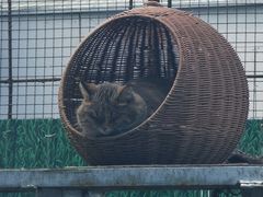-青藏高原野生动物园