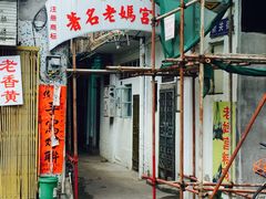 -老妈宫粽球