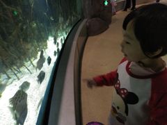 -福州罗源湾海洋世界旅游区