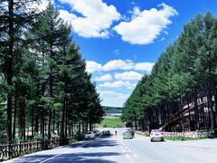 -塞罕坝国家级自然保护区