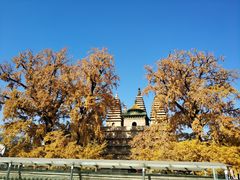 -北京石刻艺术博物馆(五塔寺)