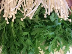 -蝎王府羊蝎子(北大地店)