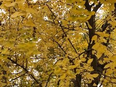 -苏州河梦清园环保主题公园