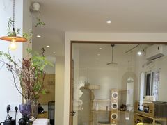 -有猫主题·治愈系猫咖(曾厝垵店)