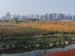 -汉江湾体育公园