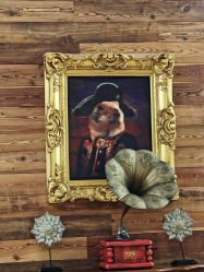 -Zoolung Zoolung动物主题公园(海信广场店)