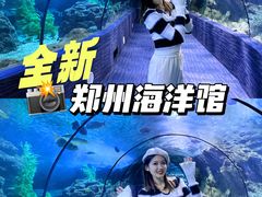 -郑州海洋馆