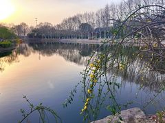 -泰州凤城河风景区-泰山公园