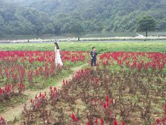 -广州市石门国家森林公园