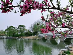 -大兴滨河森林公园