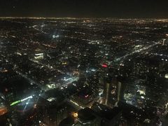-加拿大国家电视塔