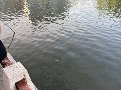 -西溪南古村落