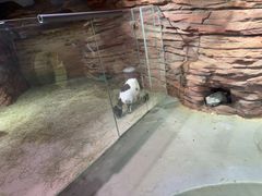 -正佳雨林生态植物园