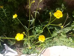 -白草畔自然风景区