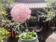 -福州开元寺