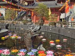 -上海东林寺(金山区)